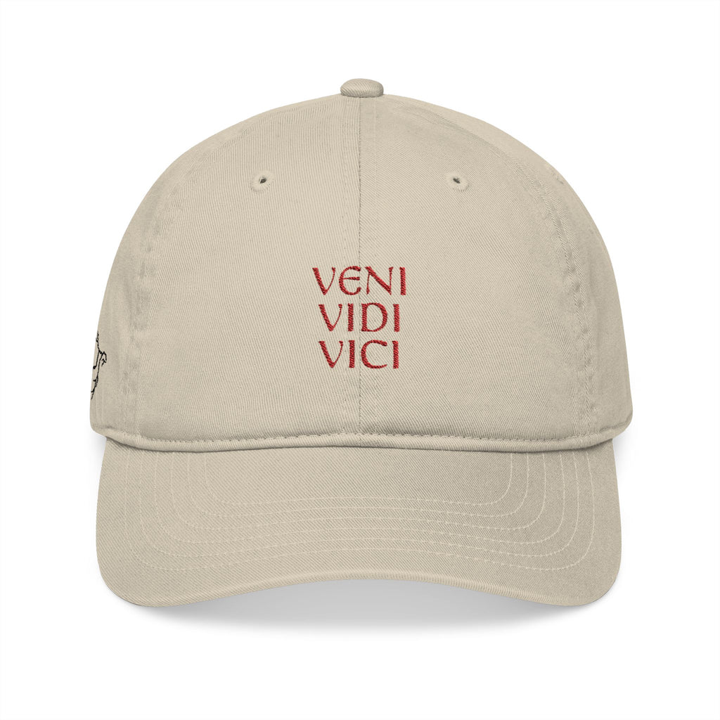 Veni Vidi Vici Embroidered Baseball Cap