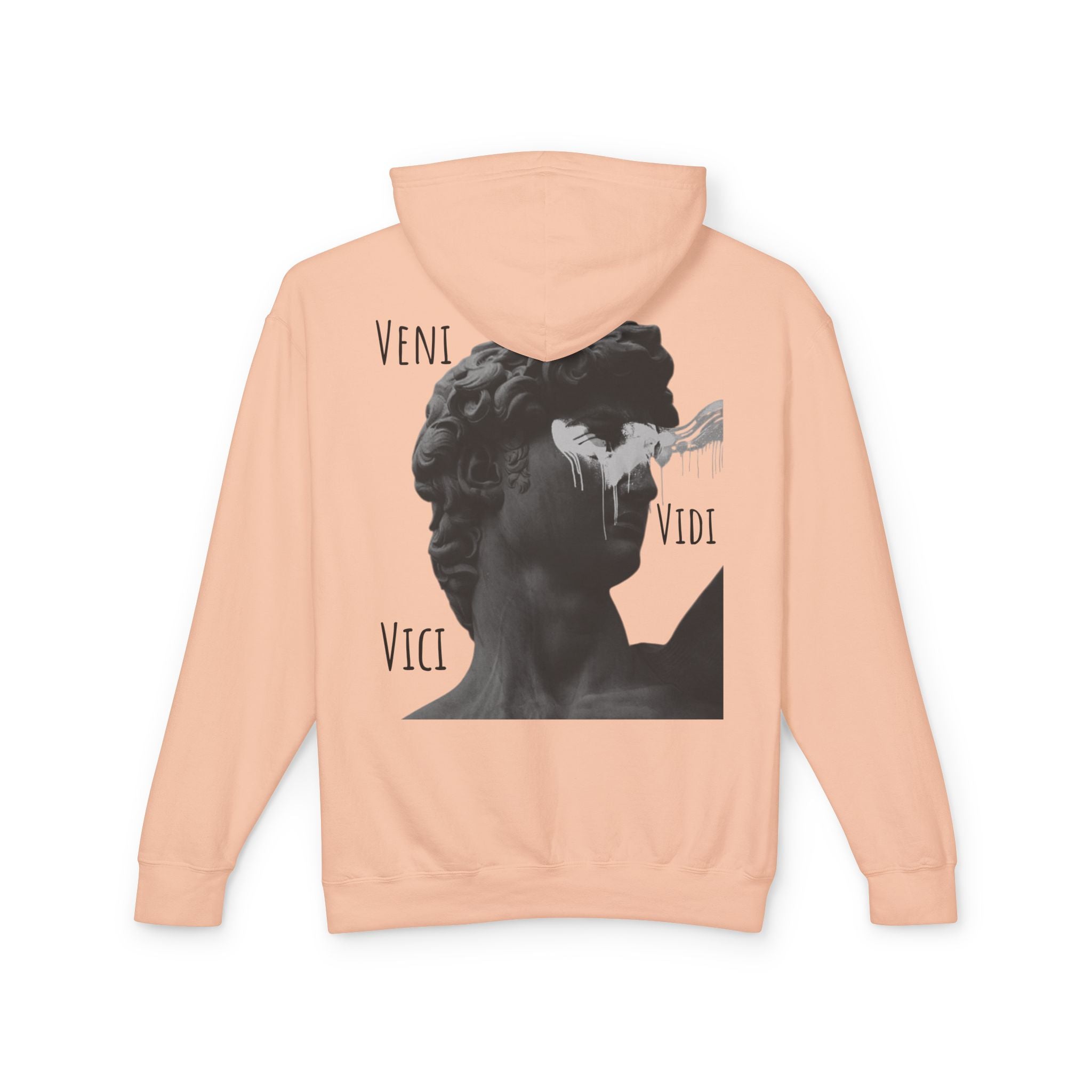 “Veni Vidi Vici” Statue Graphic Hoodie — Lightweight Vintage Art Pullover