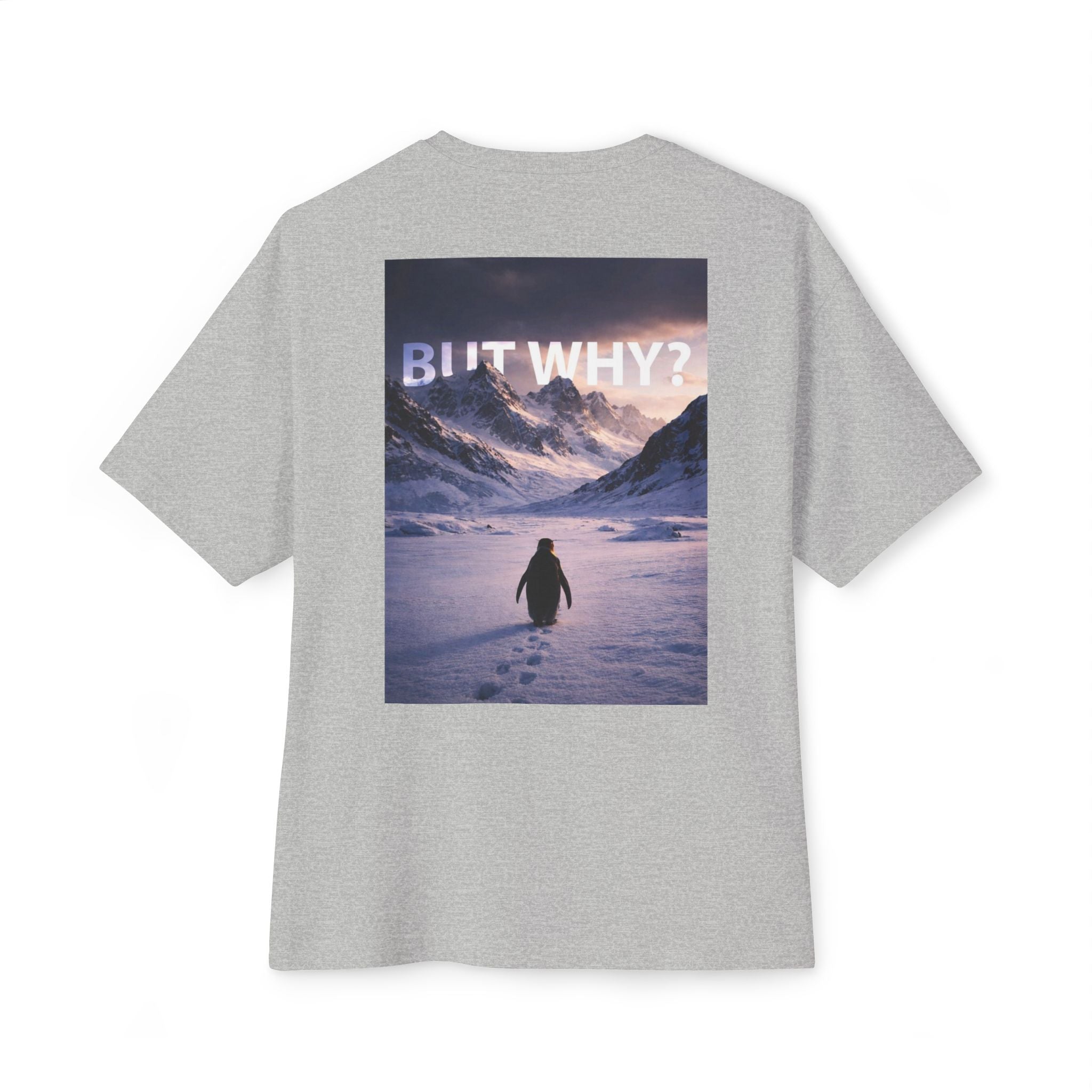 Unisex Oversized Boxy Tee - 'But Why?' Mountain Design