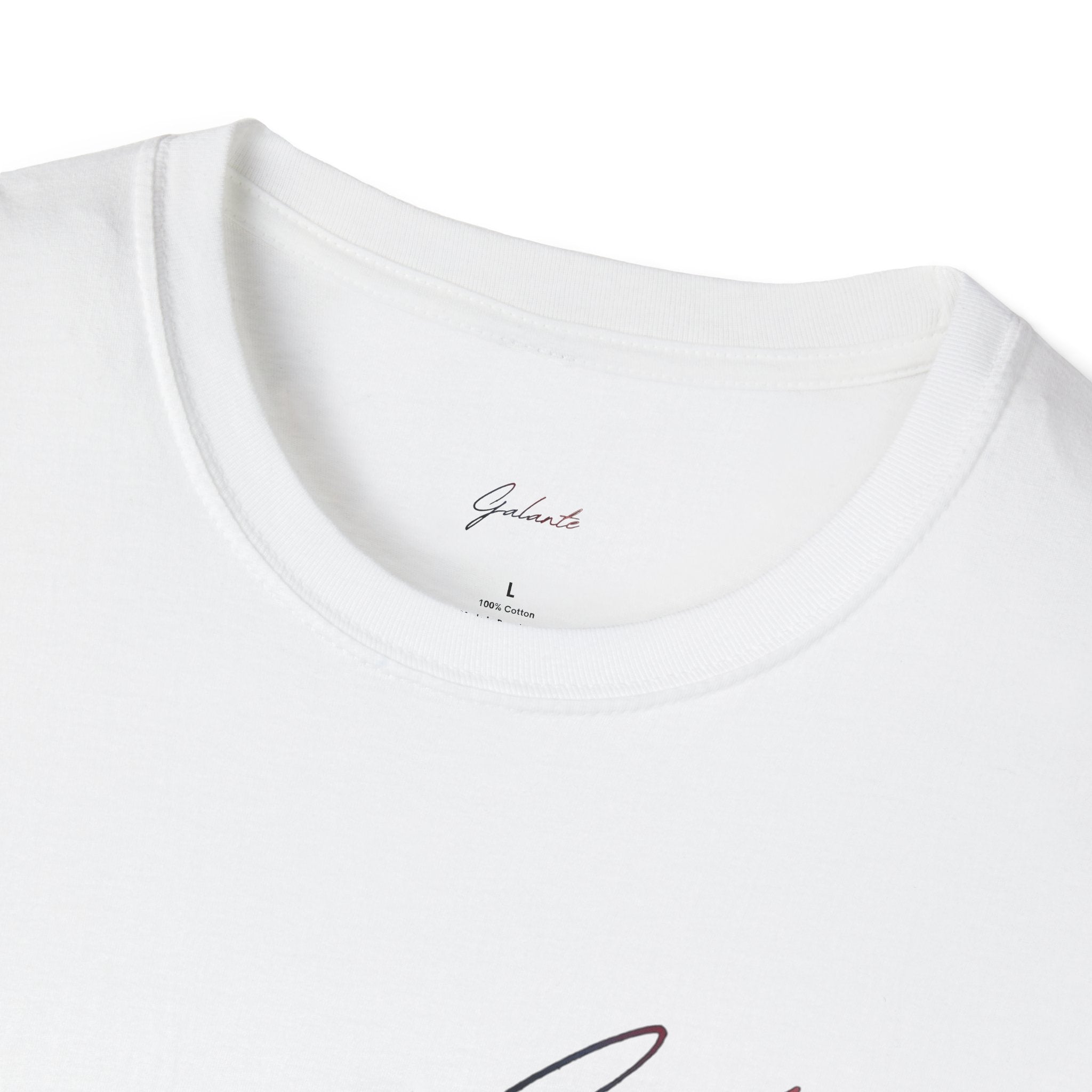 T-Shirt — "Take The Dogs Out" Doberman Graphic Tee