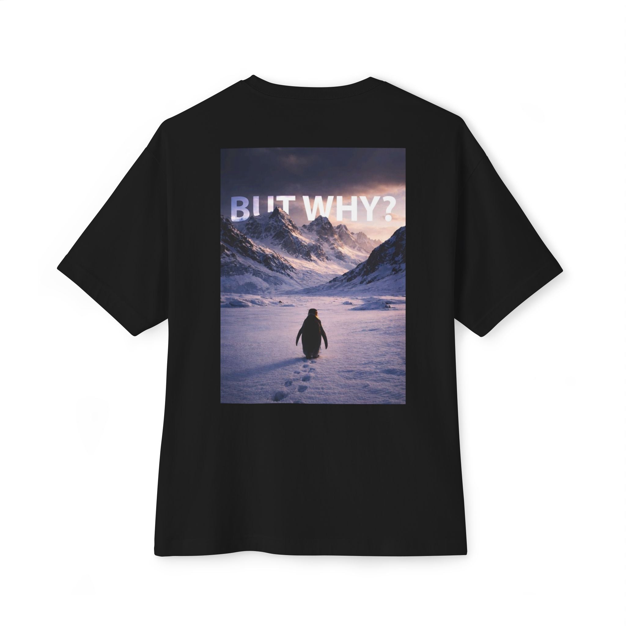 Unisex Oversized Boxy Tee - 'But Why?' Mountain Design
