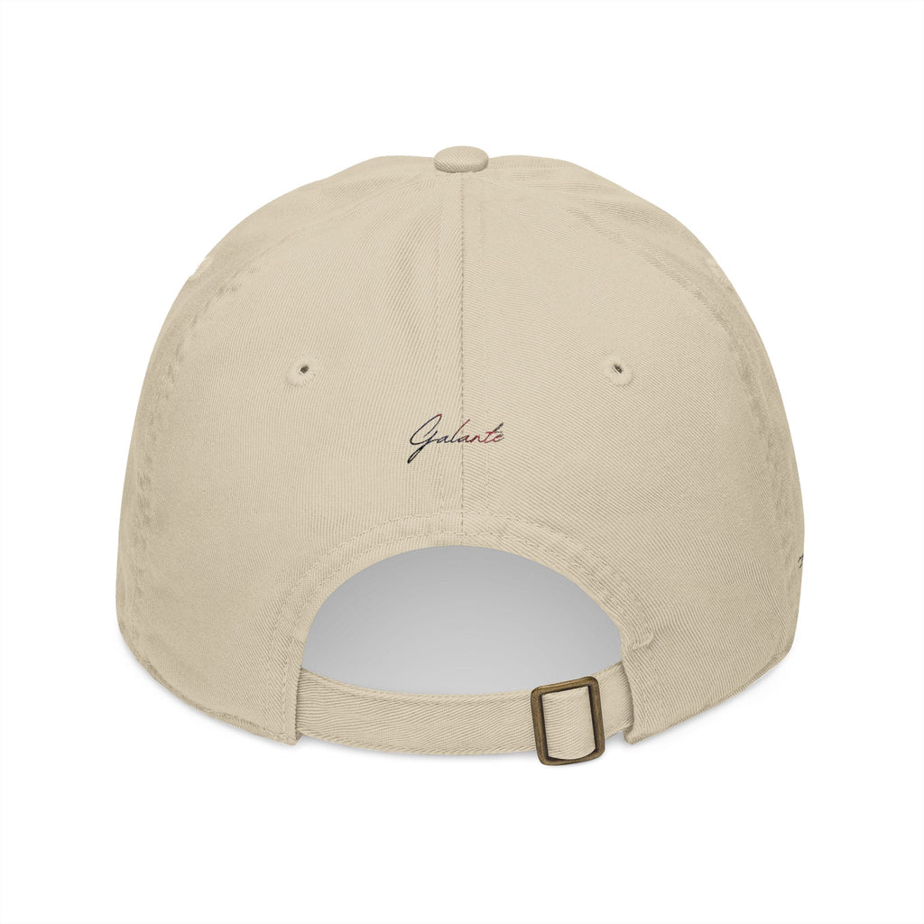Veni Vidi Vici Embroidered Baseball Cap