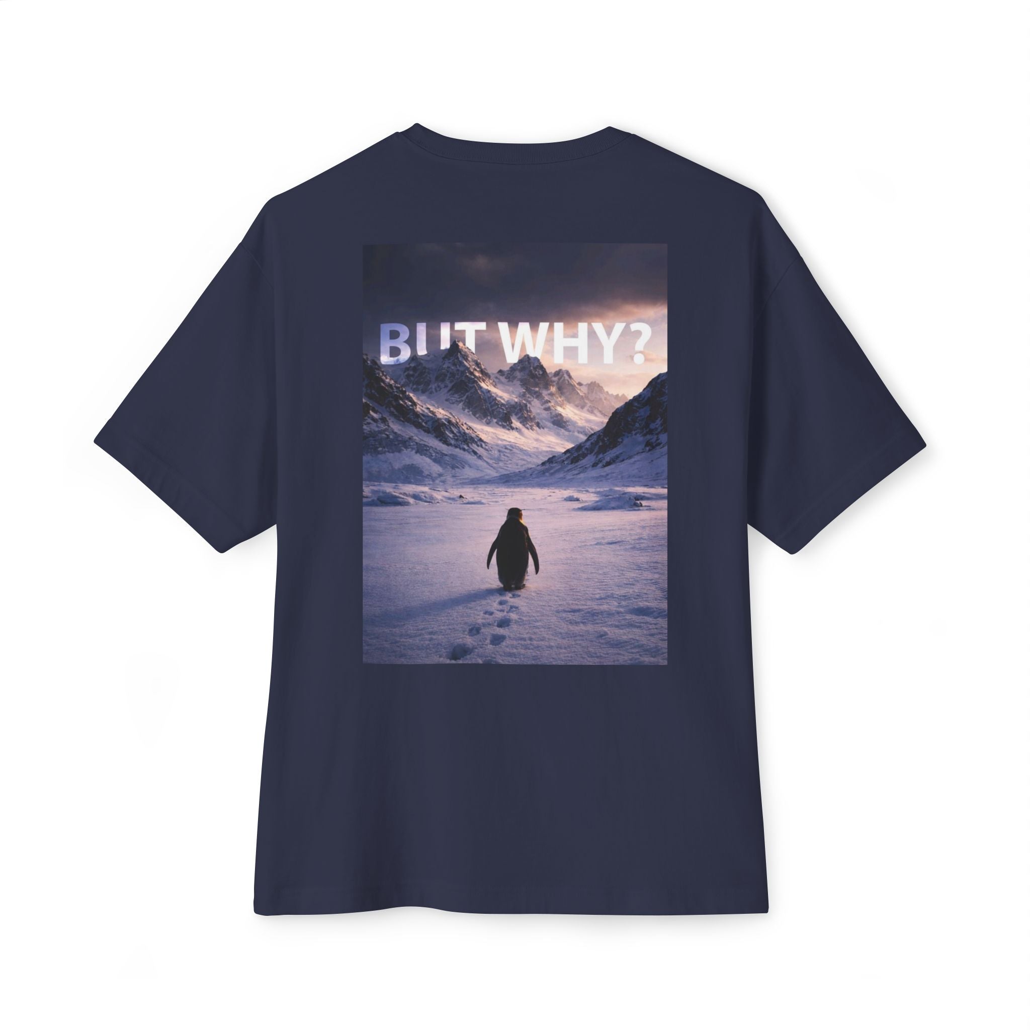 Unisex Oversized Boxy Tee - 'But Why?' Mountain Design