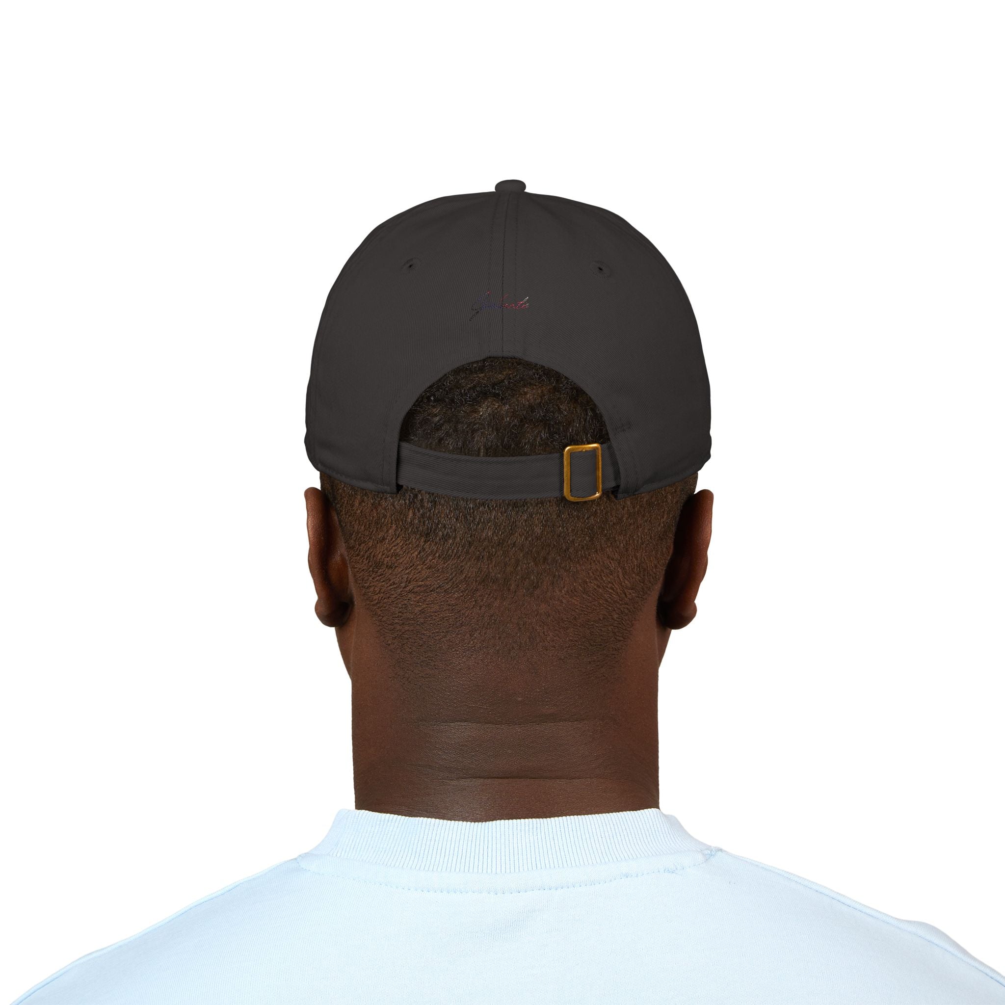 Veni Vidi Vici Embroidered Baseball Cap
