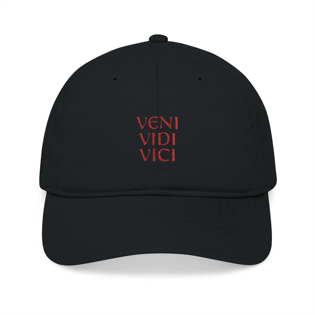 Veni Vidi Vici Embroidered Baseball Cap