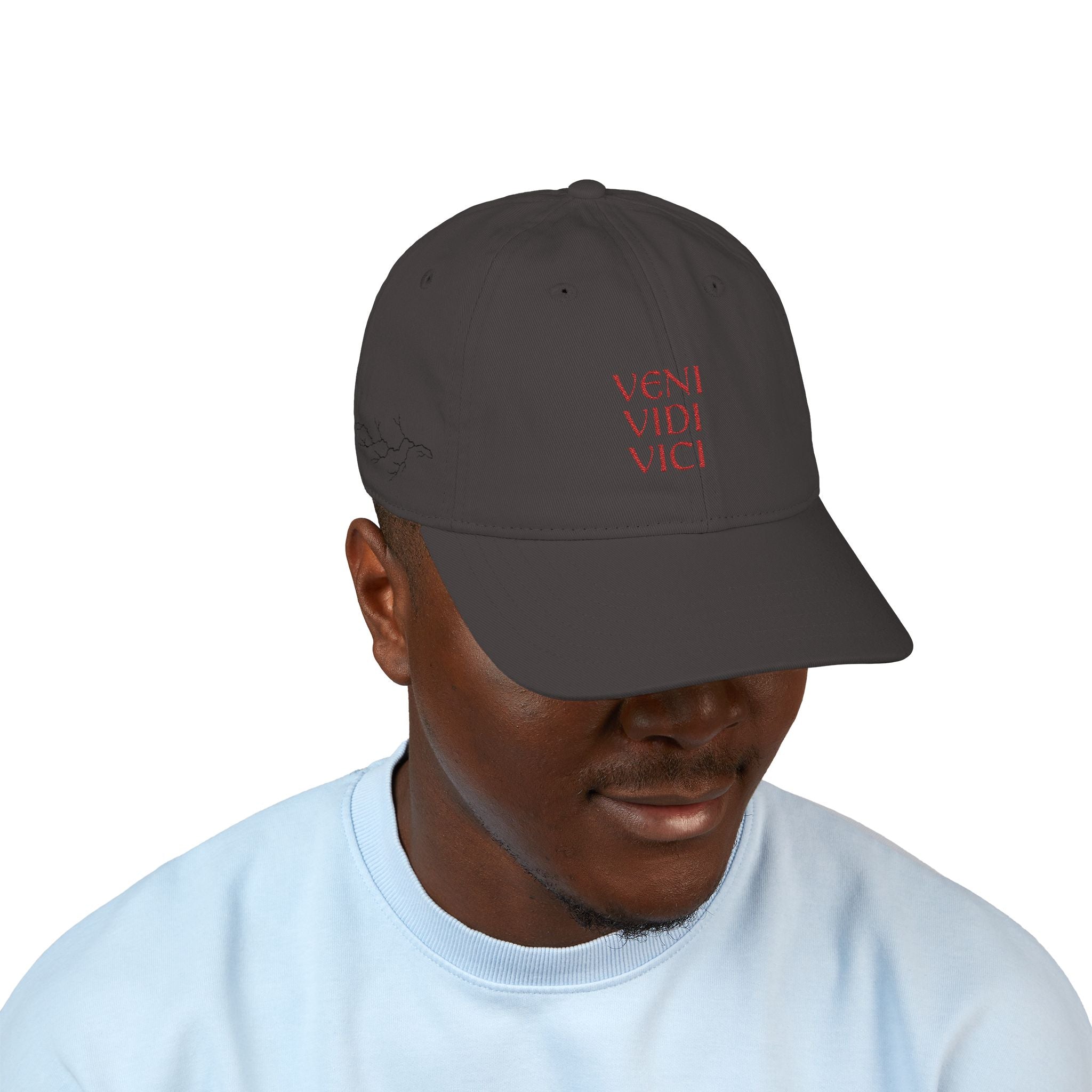 Veni Vidi Vici Embroidered Baseball Cap