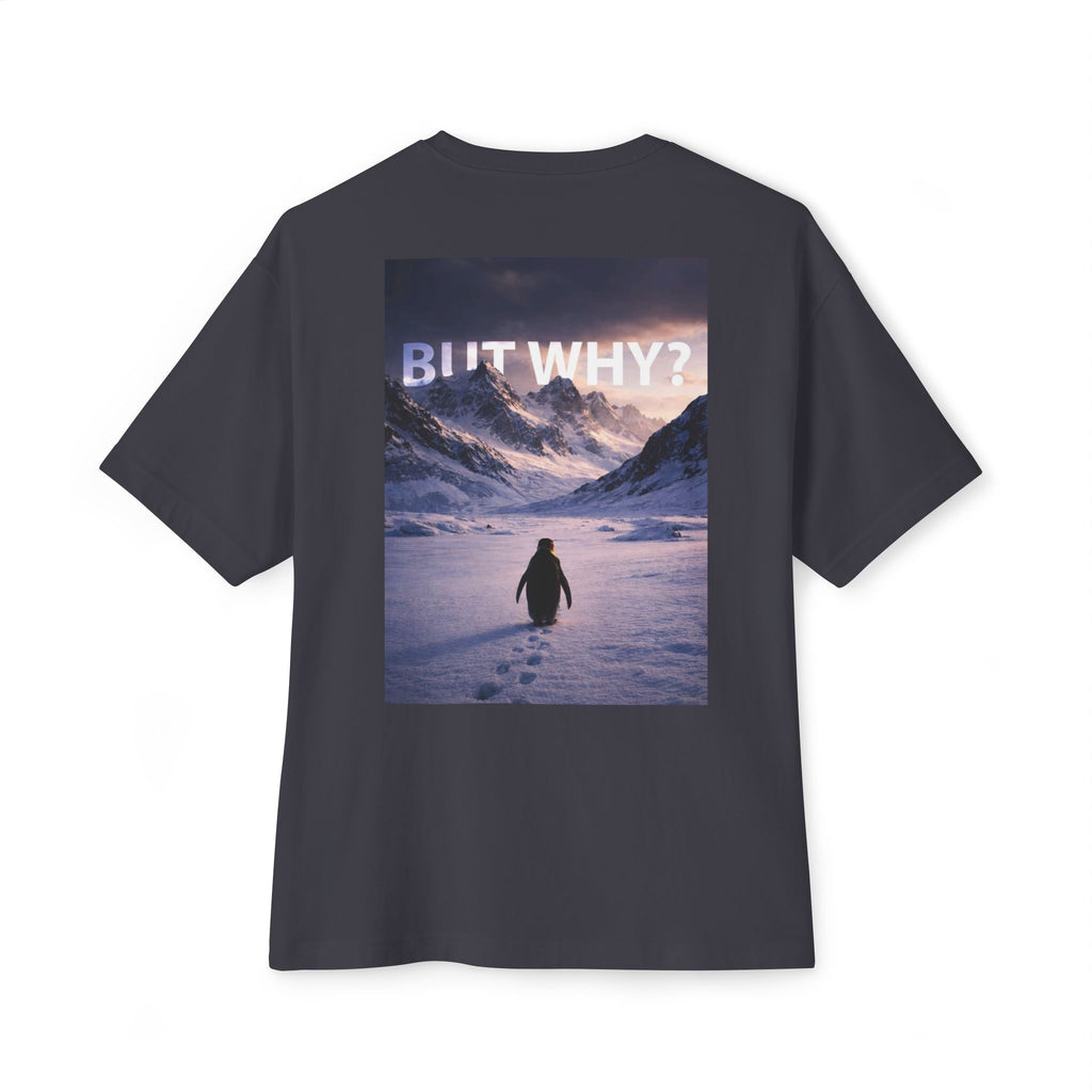 Unisex Oversized Boxy Tee - 'But Why?' Mountain Design
