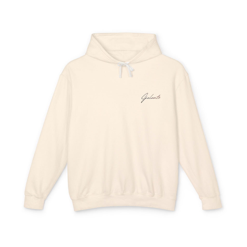 “Veni Vidi Vici” Statue Graphic Hoodie — Lightweight Vintage Art Pullover