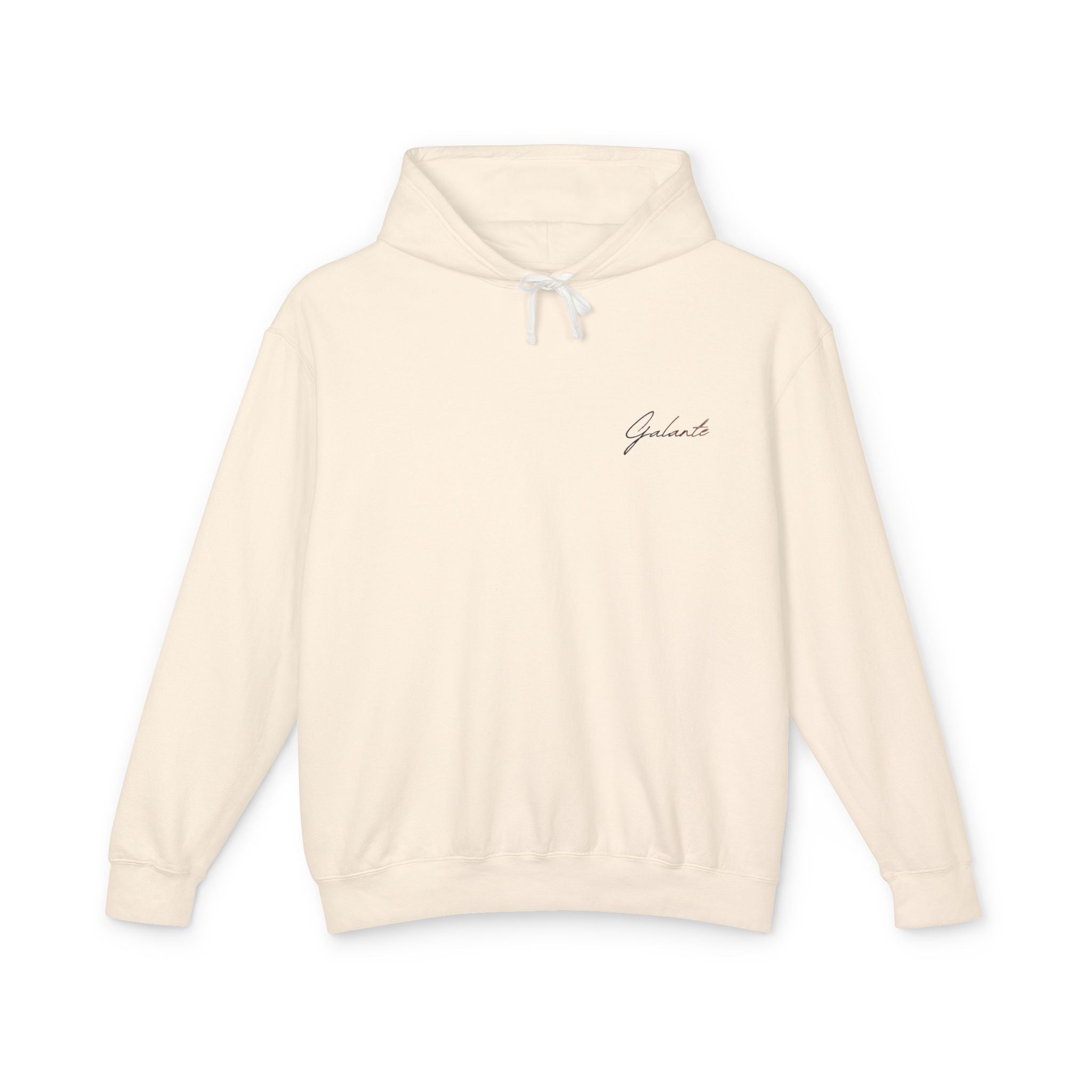 “Veni Vidi Vici” Statue Graphic Hoodie — Lightweight Vintage Art Pullover