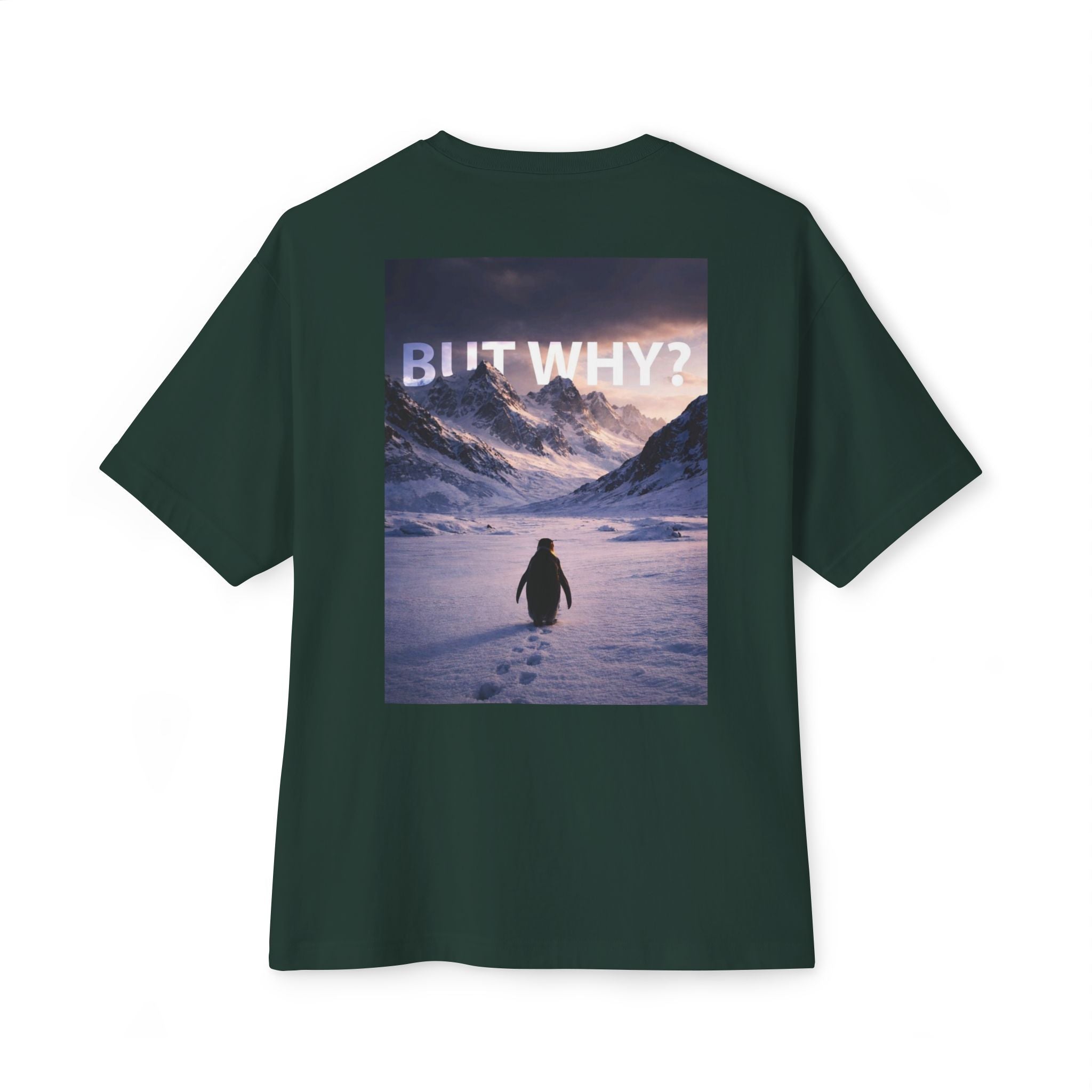 Unisex Oversized Boxy Tee - 'But Why?' Mountain Design