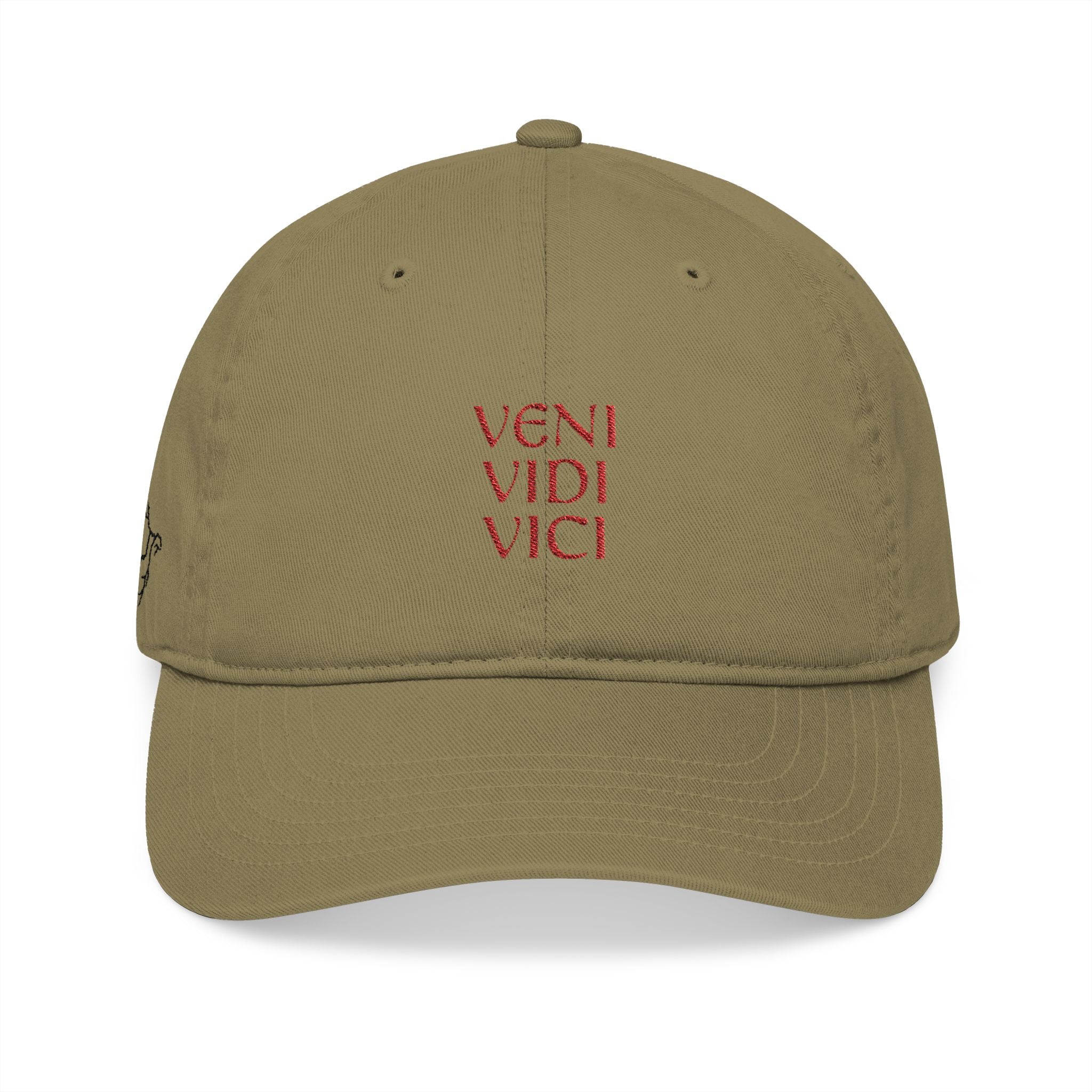 Veni Vidi Vici Embroidered Baseball Cap